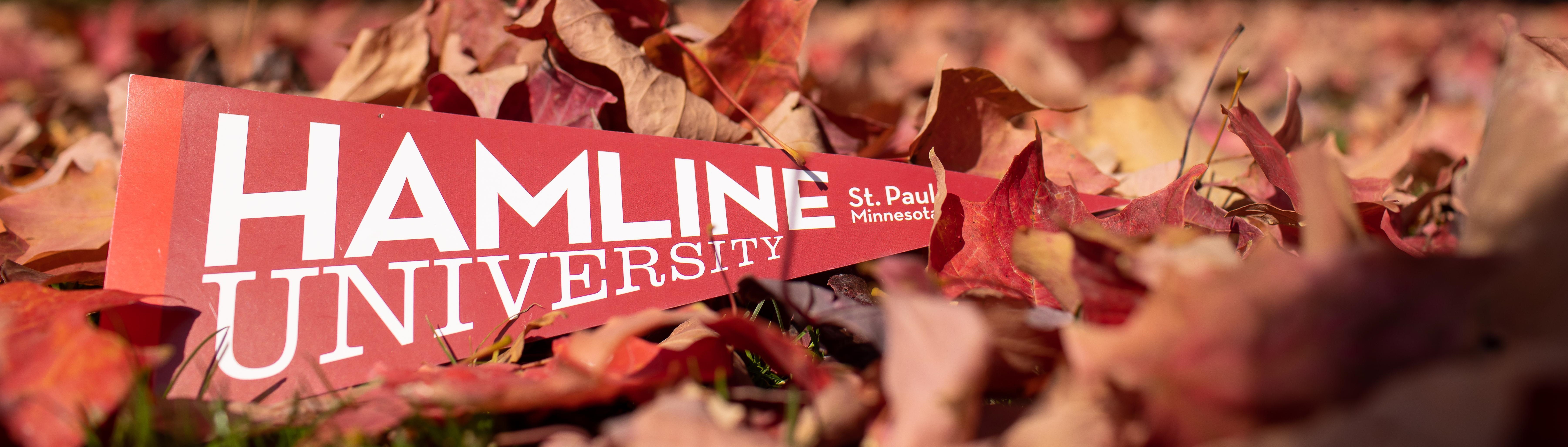 Hamline Pennant and Fall Leaves